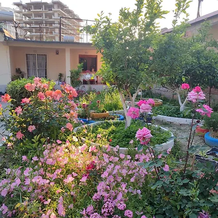 House Vlore