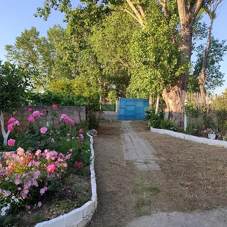 House Guest house